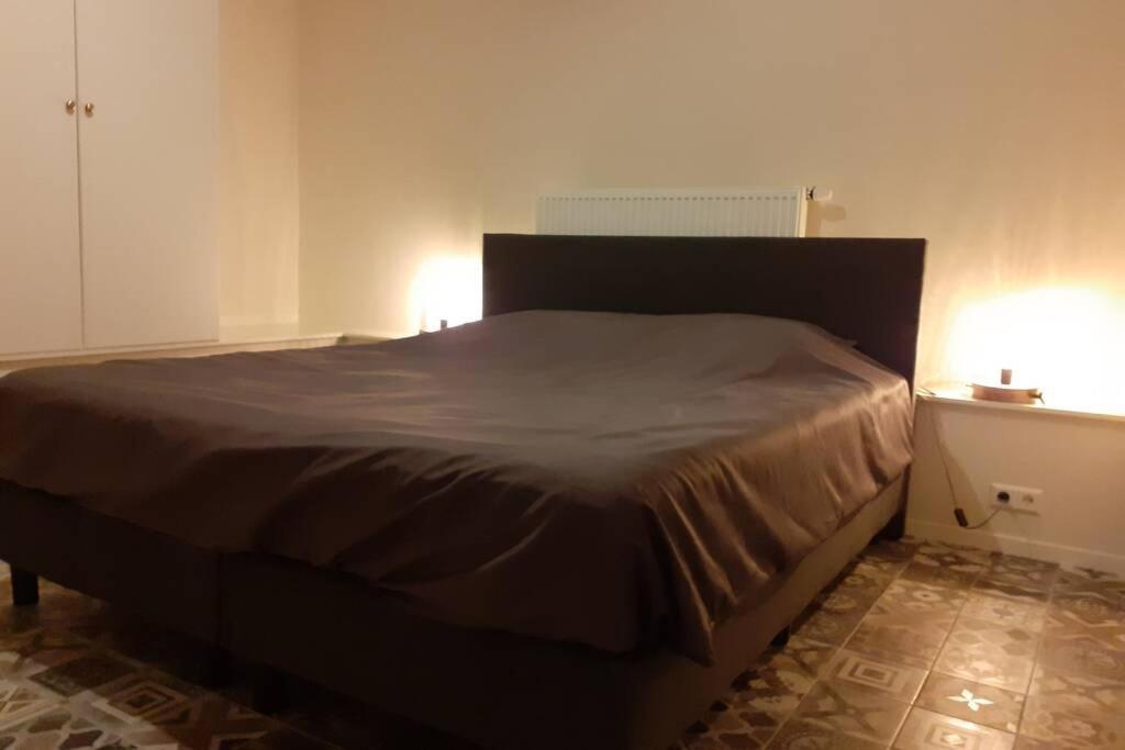 Brinkzicht Diever, Appartement Bert Eksteriør billede